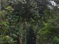 Tn DSC 3990